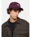 GORRA DICKIES HARDWICK PLUM PERFECT