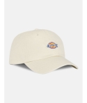 GORRA DICKIES HARDWICK WHITECAP GREY