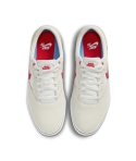 ZAPA NIKE SB CHRON 2 101