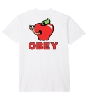 CTA OBEY APPLE OF MY EYE WHITE