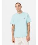 CTA DICKIES MAPLETON  PASTEL TURQUOISE