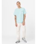 CTA DICKIES MAPLETON  PASTEL TURQUOISE