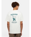 CTA DICKIES BUILDER CLOUD