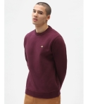 CREW DICKIES OAKPORT MAROON