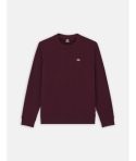 CREW DICKIES OAKPORT MAROON