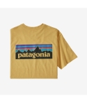 CTA PATAGONIA P-6 LOGO SUYE