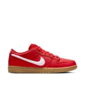 ZAPA NIKE SB DUNK LOW PRO FJ1674-600