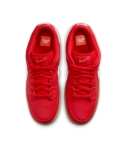 ZAPA NIKE SB DUNK LOW PRO FJ1674-600