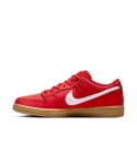 ZAPA NIKE SB DUNK LOW PRO FJ1674-600