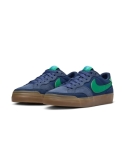 ZAPA NIKE SB POGO PLUS 402