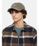 GORRA DICKIES HARDWICK CANVAS DARK BROWN