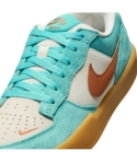 ZAPA NIKE SB FORCE 58 302