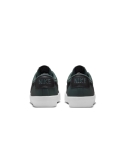 ZAPA NIKE SB BLAZER LOW PRO GT 300