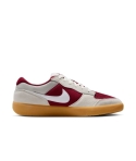 ZAPA NIKE SB FORCE 58 601