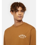 CTA DICKIES TREGO L/S TEE BROWN DUCK