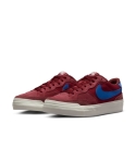 ZAPA NIKE SB POGO PLUS 600