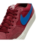 ZAPA NIKE SB POGO PLUS 600