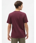 CTA DICKIES MAPLETON MAROON