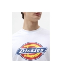 CTA DICKIES ICON LOGO WHITE