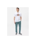 CTA DICKIES ICON LOGO WHITE