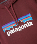 HOOD PATAGONIA P-6 SEQR