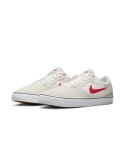 ZAPA NIKE SB CHRON 2 101