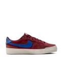 ZAPA NIKE SB POGO PLUS 600