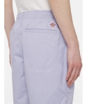 SHORT DICKIES PELICAN RAPIDS COSMIC GREY