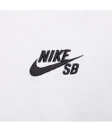 CTA NIKE SB GO NUTS 100