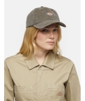 GORRA DICKIES HARDWICK CANVAS DARK BROWN