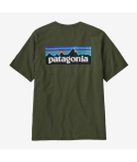 CTA PATAGONIA P-6 LOGO TPGN