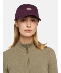 GORRA DICKIES HARDWICK PLUM PERFECT