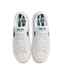 ZAPA NIKE SB BLAZER LOW GT 102