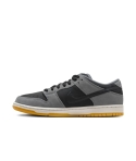 ZAPA NIKE SB DUNK LOW PRO HF3063-001