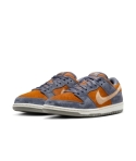 ZAPA NIKE SB DUNK LOW PRO HF3063-002