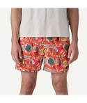 SHORT PATAGONIA BAGGIES SHORTS WRPO