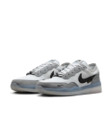 ZAPA NIKE SB PS8 004