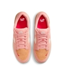 ZAPA NIKE SB FORCE 58 DV5477-103