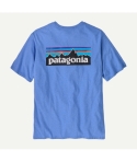 CTA PATAGONIA P-6 LOGO ABNB