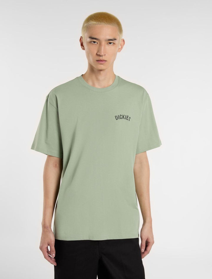 CTA DICKIES SNAKE ICEBERG