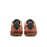 ZAPA NIKE SB VERTEBRAE TE 200