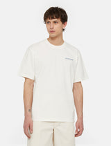 CTA DICKIES WAKEFIELD CLOUD