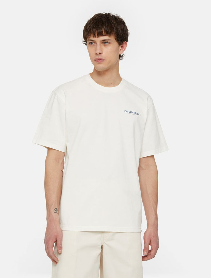 CTA DICKIES WAKEFIELD CLOUD