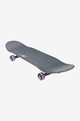 COMPLETO GLOBE REFLECTION 8.5
