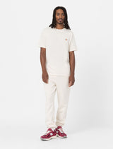 CTA DICKIES MAPLETON WHITECAP GRAY