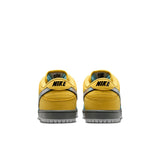 ZAPA NIKE SB DUNK LOW PRO IR1888-700