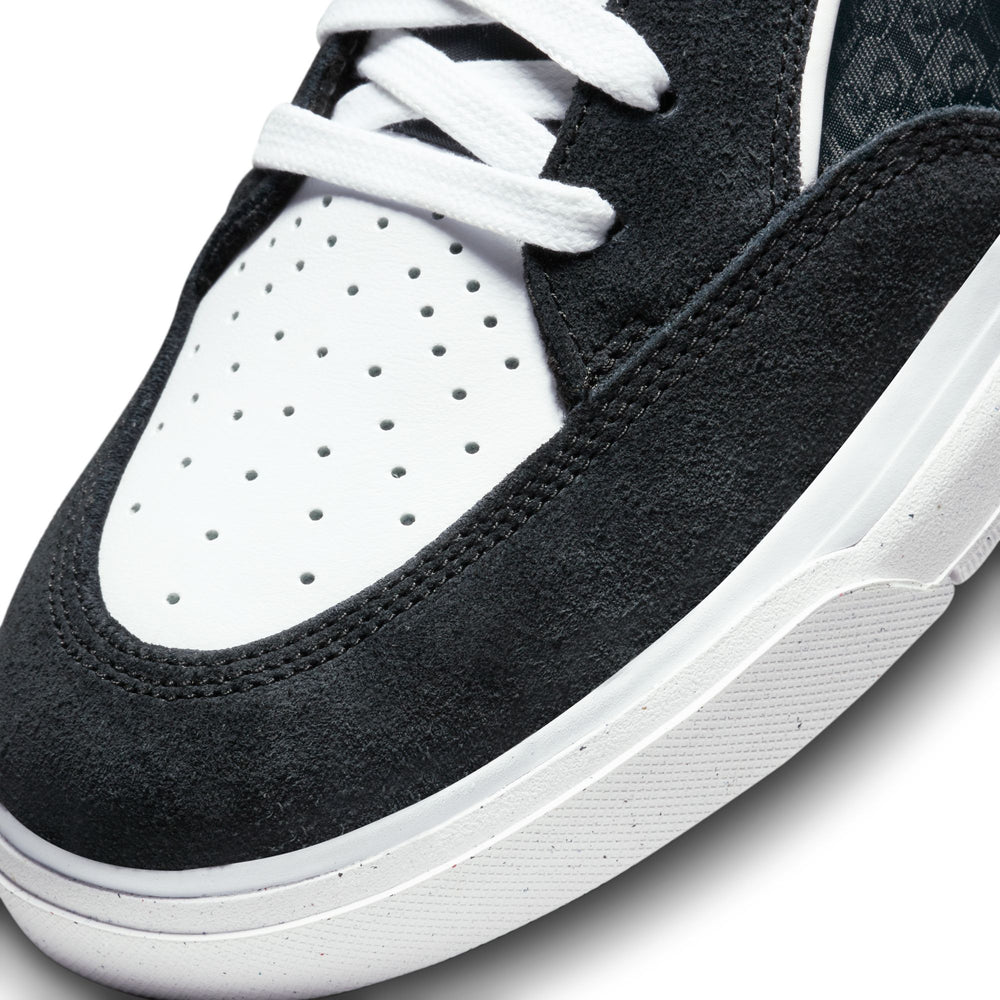 ZAPA NIKE SB LEO BAKER 001