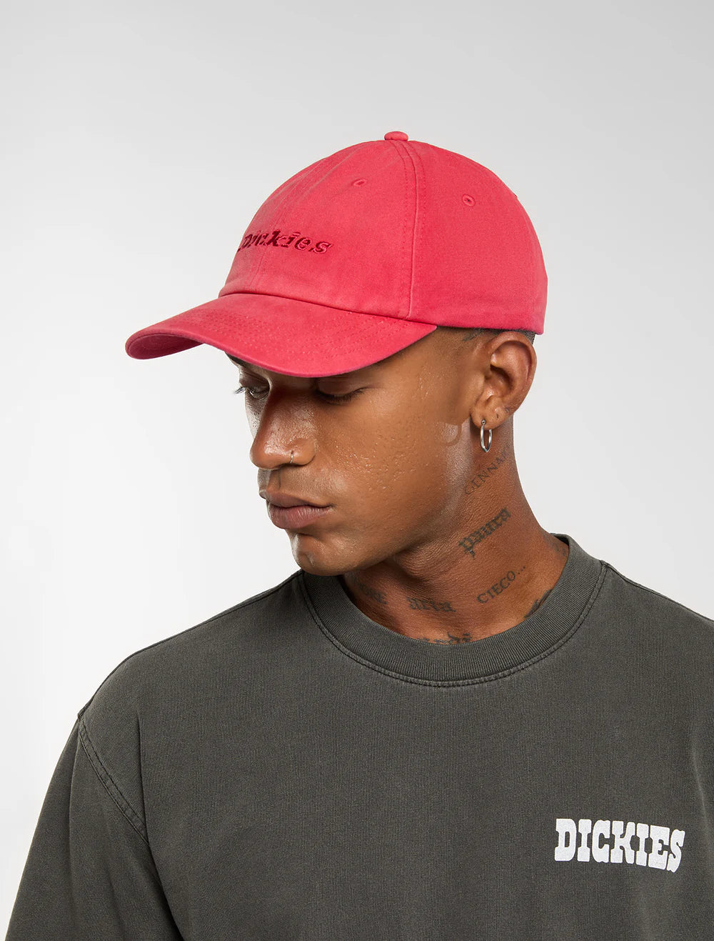 DICKIES MIDDLESFIELD DAD GARNET