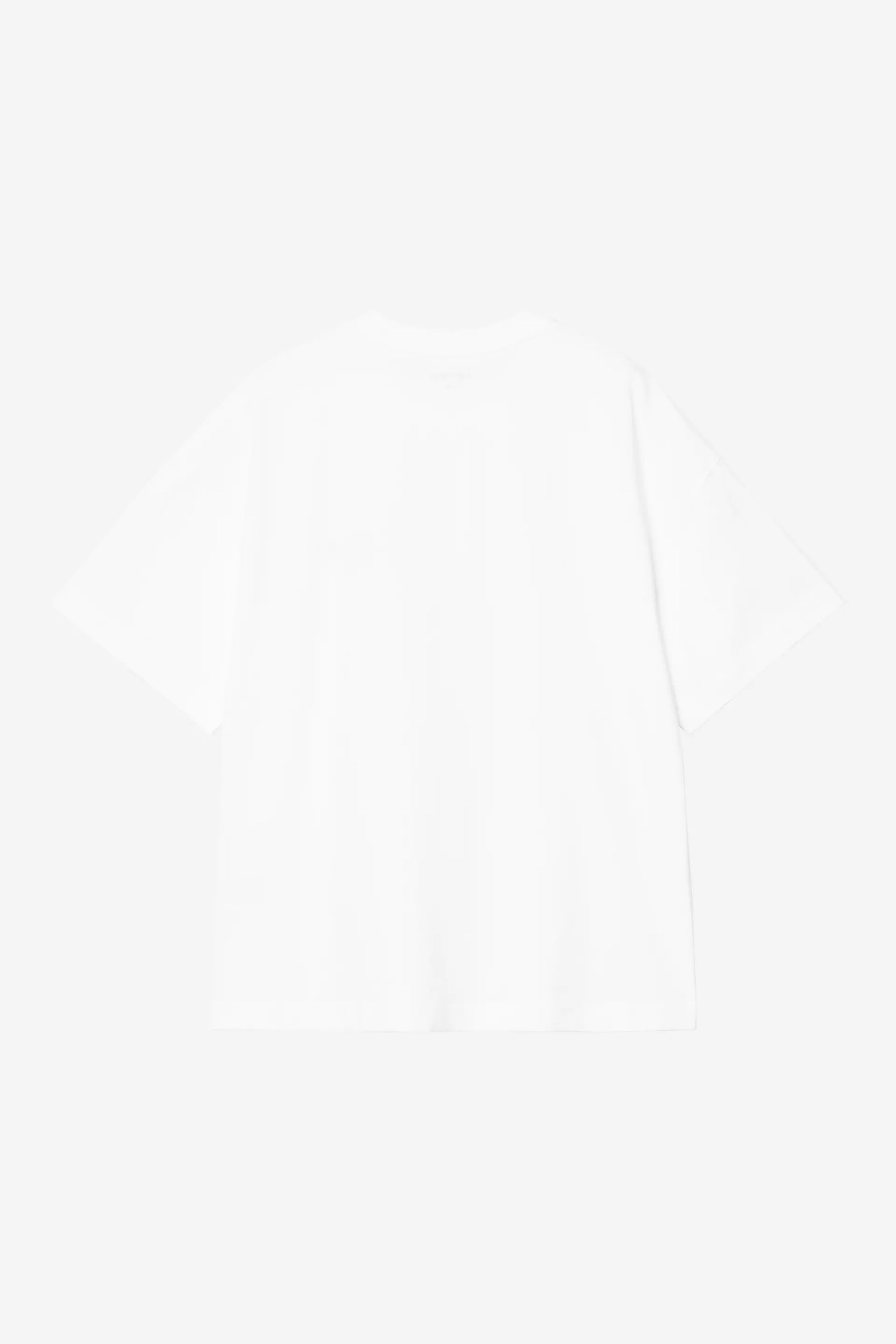 CTA CARHARTT WIP SIGNATURE SCRPT WHITE