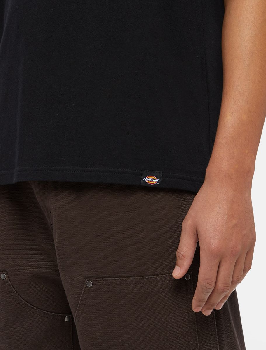 CTA DICKIES GOOSE BLACK